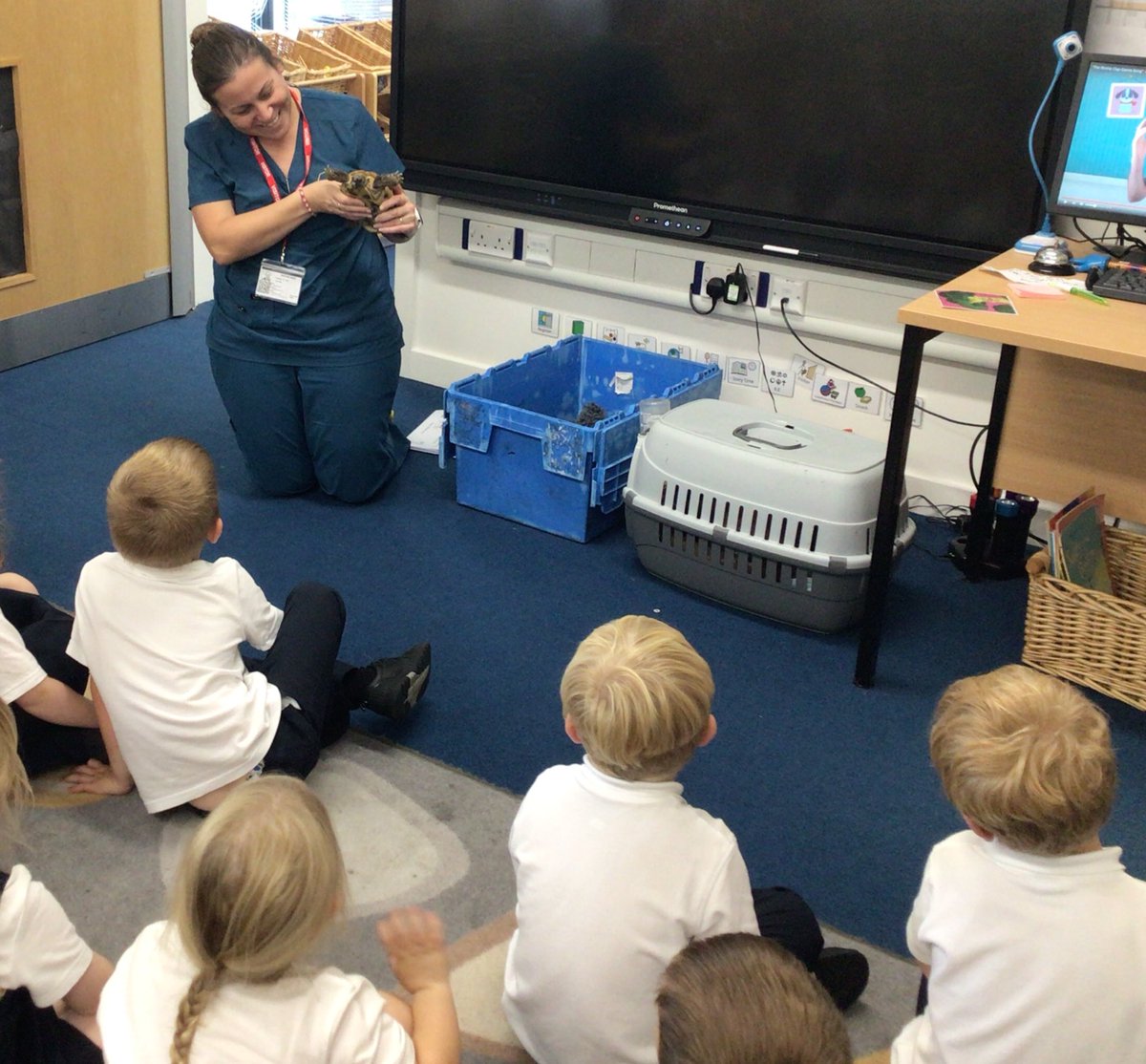 AvonwoodEYFS's tweet photo. Foundation had a visit from a vet today who told us all about how they look after our animals. This is part of our ‘People Who Help Us’ topic. Lorna even brought in a Tortoise and Guinea pigs for us to see. Thank you Lorna! https://t.co/oD6aGaOmXU