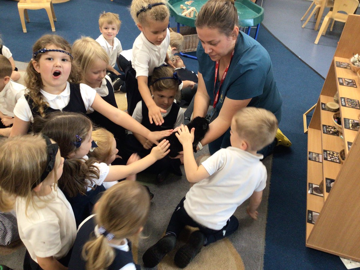 AvonwoodEYFS's tweet photo. Foundation had a visit from a vet today who told us all about how they look after our animals. This is part of our ‘People Who Help Us’ topic. Lorna even brought in a Tortoise and Guinea pigs for us to see. Thank you Lorna! https://t.co/oD6aGaOmXU