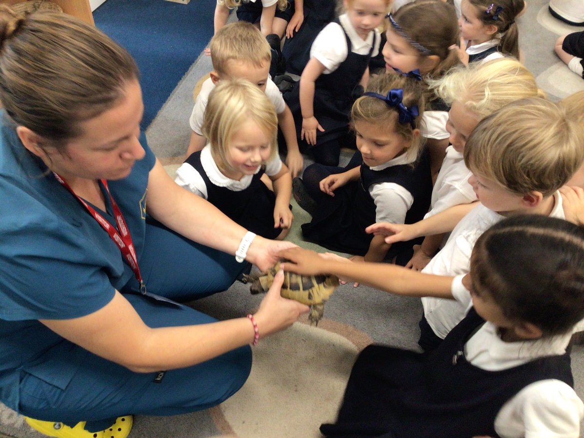 AvonwoodEYFS's tweet photo. Foundation had a visit from a vet today who told us all about how they look after our animals. This is part of our ‘People Who Help Us’ topic. Lorna even brought in a Tortoise and Guinea pigs for us to see. Thank you Lorna! https://t.co/oD6aGaOmXU