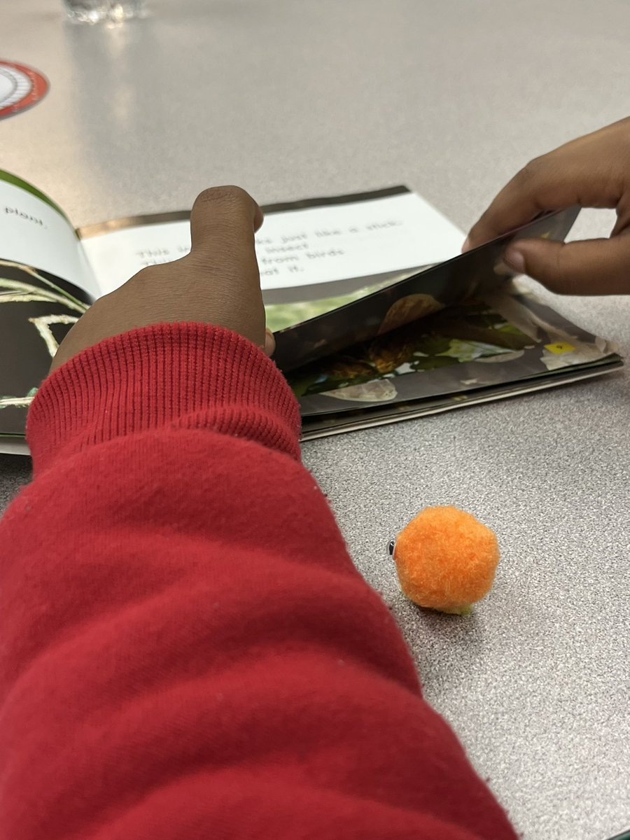See if you can spot our Quiet Critters around our classroom! They like watching quiet friends stay on task👀
