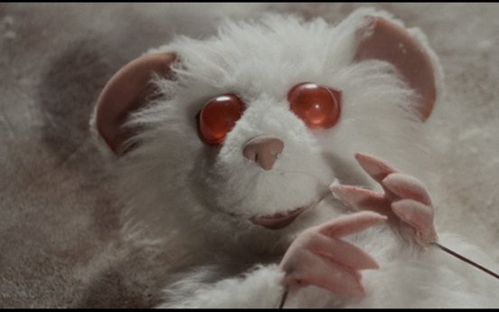 Film_Carnage's tweet photo. #Iris23 opens tonight with three short films made in Wales, along with Some Girls Hate Dresses, directed by Mena Fombo, the first recipient of the Iris Prize Documentary Film Finance Fund
Always a fantastic selection @irisprize and looking forward to catching as much as I can! https://t.co/TOuISPcoZE