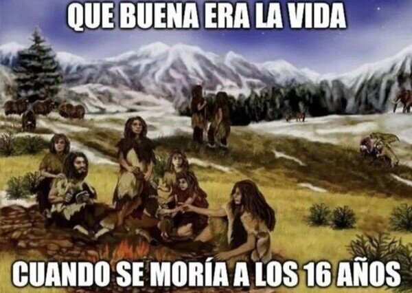 Bodoque tweet media