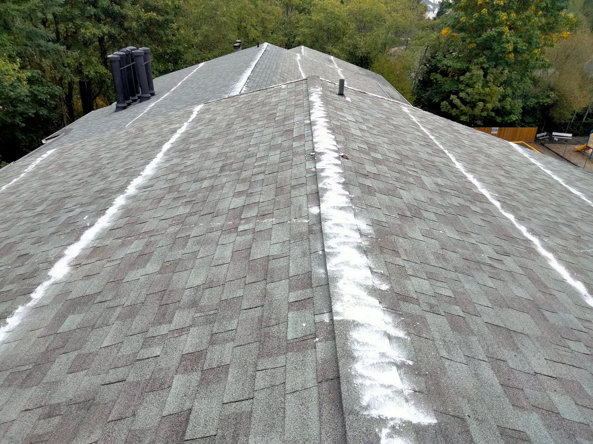 soundcleaning's tweet photo. Wondering why moss inhibitors are your best bet? ๐
Our inhibitors provide long-lasting results without the hassle of constant moss removal! When applied annually moss is not likely to grow back. ๐ช #mosscontrol #roofcleaning
Click for a free estimate: https://t.co/Sl3at3S7jb https://t.co/oPSIGjxRRM
