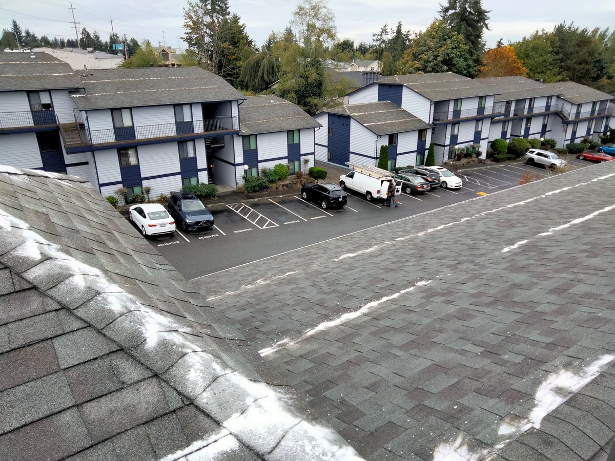 soundcleaning's tweet photo. Wondering why moss inhibitors are your best bet? ๐
Our inhibitors provide long-lasting results without the hassle of constant moss removal! When applied annually moss is not likely to grow back. ๐ช #mosscontrol #roofcleaning
Click for a free estimate: https://t.co/Sl3at3S7jb https://t.co/oPSIGjxRRM