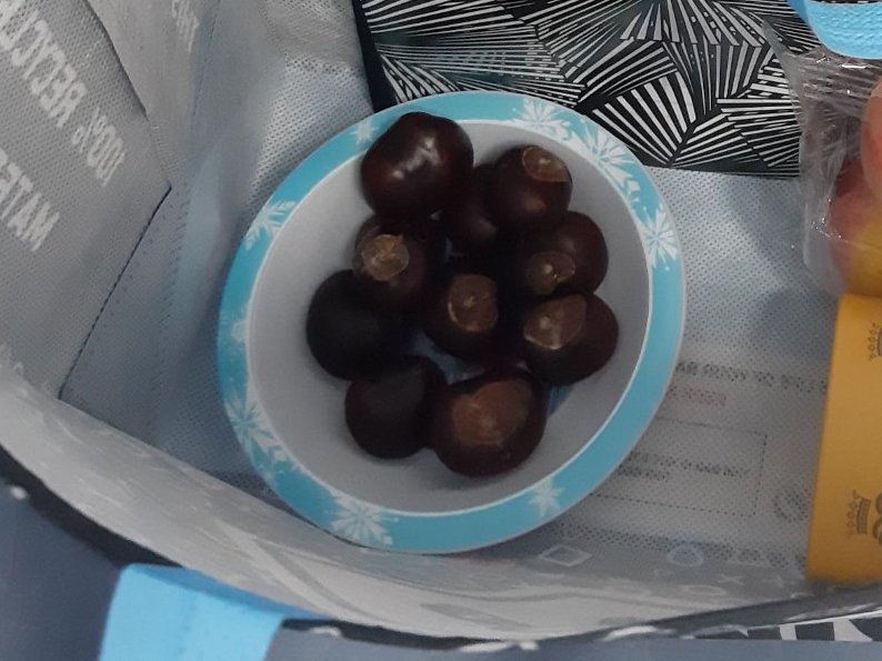 Our fab #PNA Nicky showing determination &amp; ingenuity today when she had to unexpectedly move a F2F group RCS sesh online! She's saving the conkers for next time - a grounding exercise around bringing nature indoors. She's also first to use our shiny new feedback forms✨#PNAweek