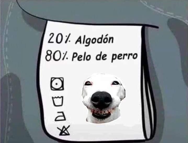 _el_lion's tweet photo. Así le voy a poner su etiqueta a mi ropa! 🐶🙈 https://t.co/axpdm6IjeO
