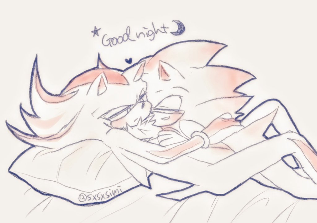 good night シャソニ🌛
#shadonic #sonadow