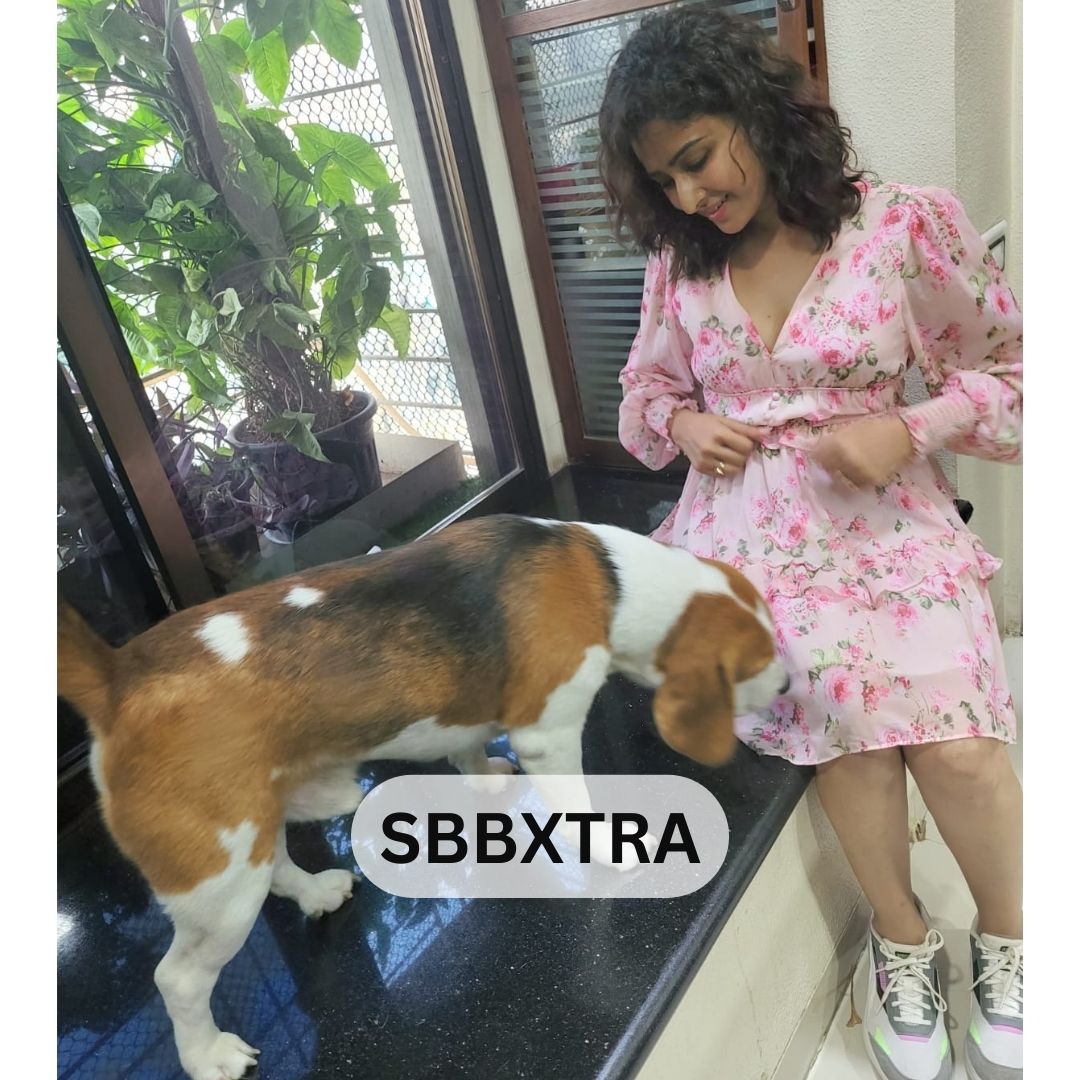 Two peas in a playful pod! 🌼🐾
Checkout actress Farnaz Shetty’s playful pictures with Tuffy 🐶

#farnazshetty #doglove #playdate #tuffy #sbbxtra #saasbahuaurbetiyaan