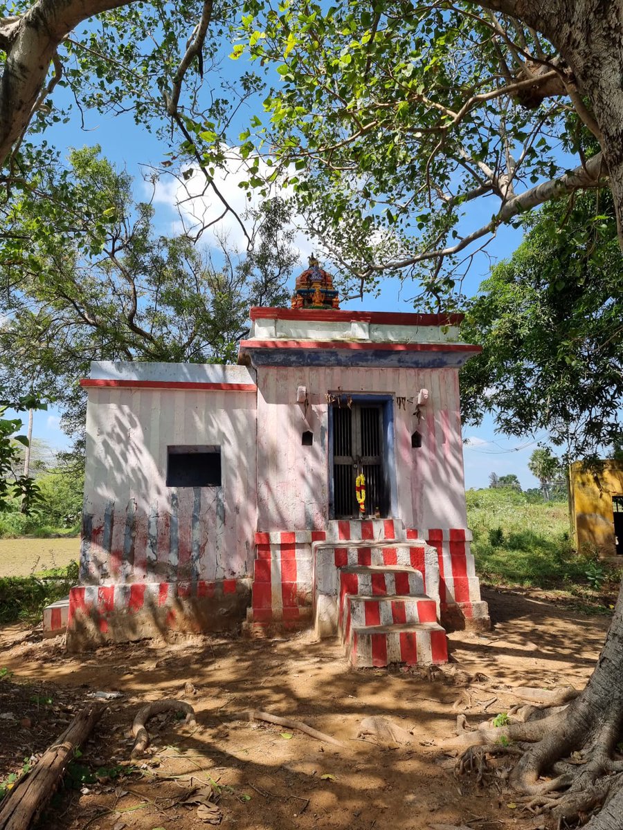 prathyyyyyy's tweet photo. Day spent well, visited my native Village 💗🤗 https://t.co/FrnqR2EfGj