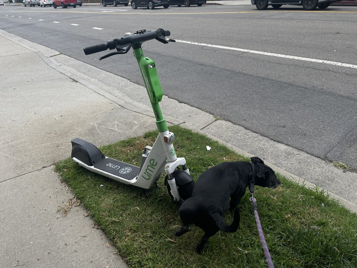 caseythea's tweet photo. @malthestar @limebike https://t.co/gbfoDc9QAa
