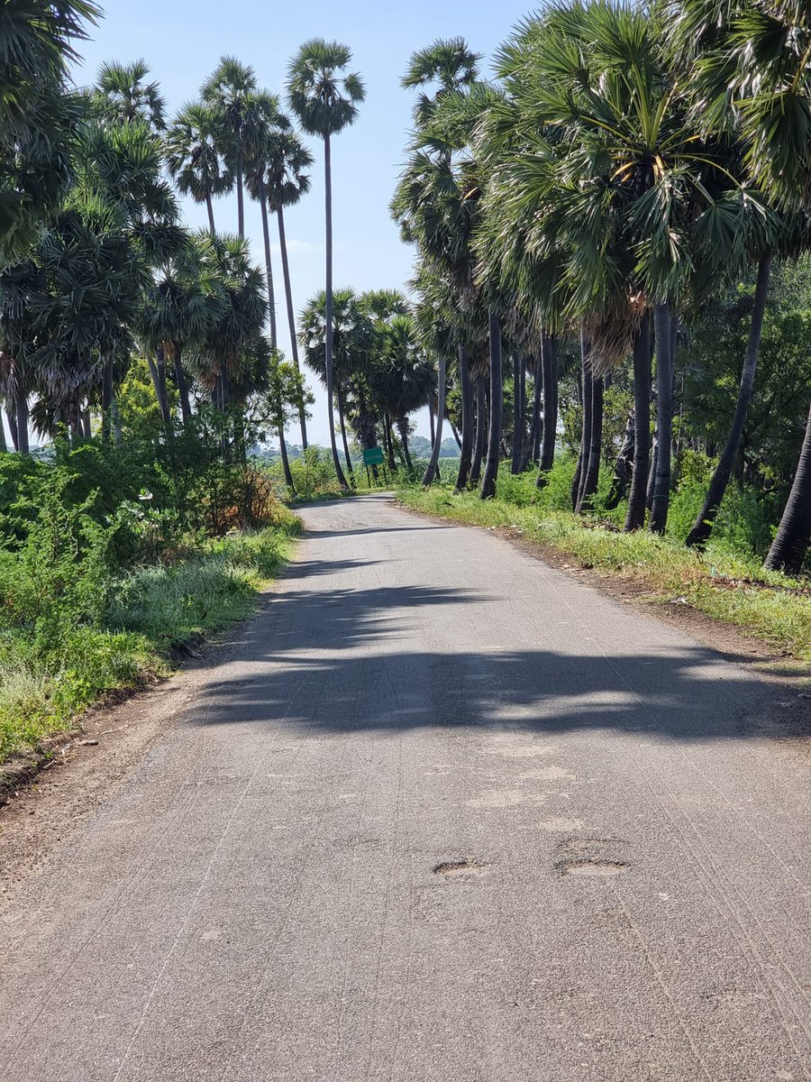 prathyyyyyy's tweet photo. Day spent well, visited my native Village 💗🤗 https://t.co/FrnqR2EfGj