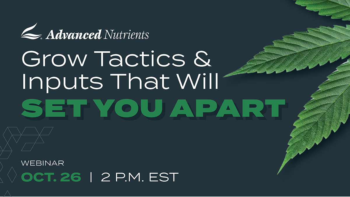 Join us for a free @advancednutes webinar Oct. 26, when Whipple Effect CEO/founder Jack Whipple will discuss a comprehensive, step-by-step guide for every process in a commercial cultivation facility. Learn more and register here: gie-net.zoom.us/webinar/regist…