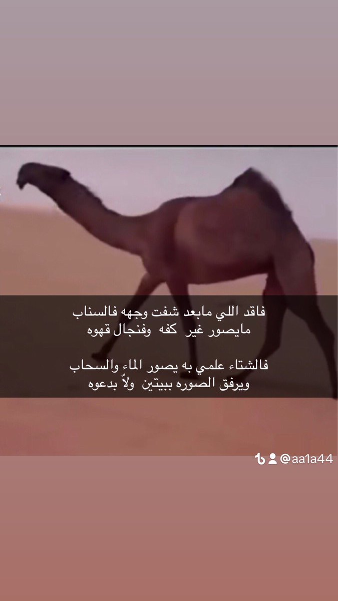 علي العازمي🇸🇦 tweet media