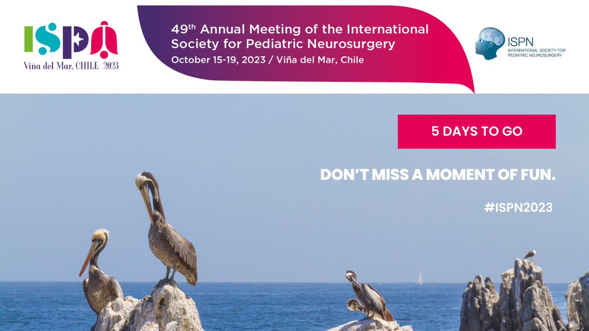 ISPNeurosurgery's tweet photo. Just 5 days left until #ISPN2023! ๐ข The world of pediatric neurosurgery is coming together in Viรฑa del Mar, Chile. Don't miss a moment of fun! ๐
Find all the key information here ๐ https://t.co/hebjJcsHLS
#PedNSGY #PediatricNeurosurgery https://t.co/TsCtS78lRM