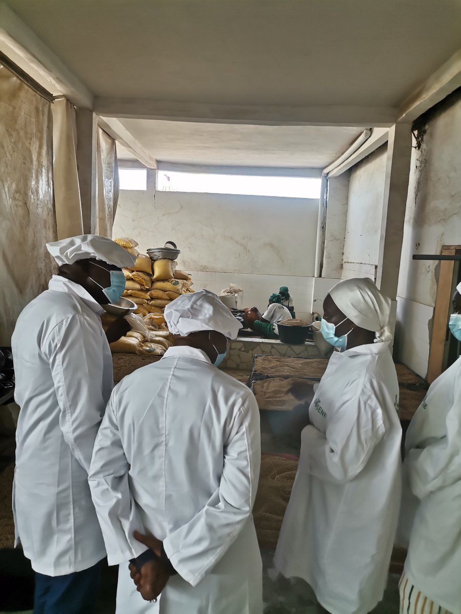 BMNSenegal's tweet image. Les experts Bissau-guinéens du BRMN ont, lors de cette visite, découvert l'expérience sénégalaise en matière de MAN, à travers notamment les instruments de la Mise à Niveau Globale et celle dite Spécifique.
#TekkiFii #reussirausenegal #Senegal