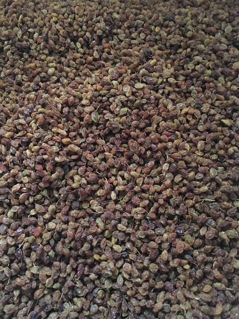 Yerli Midyat üzümünden.. kuru üzüm