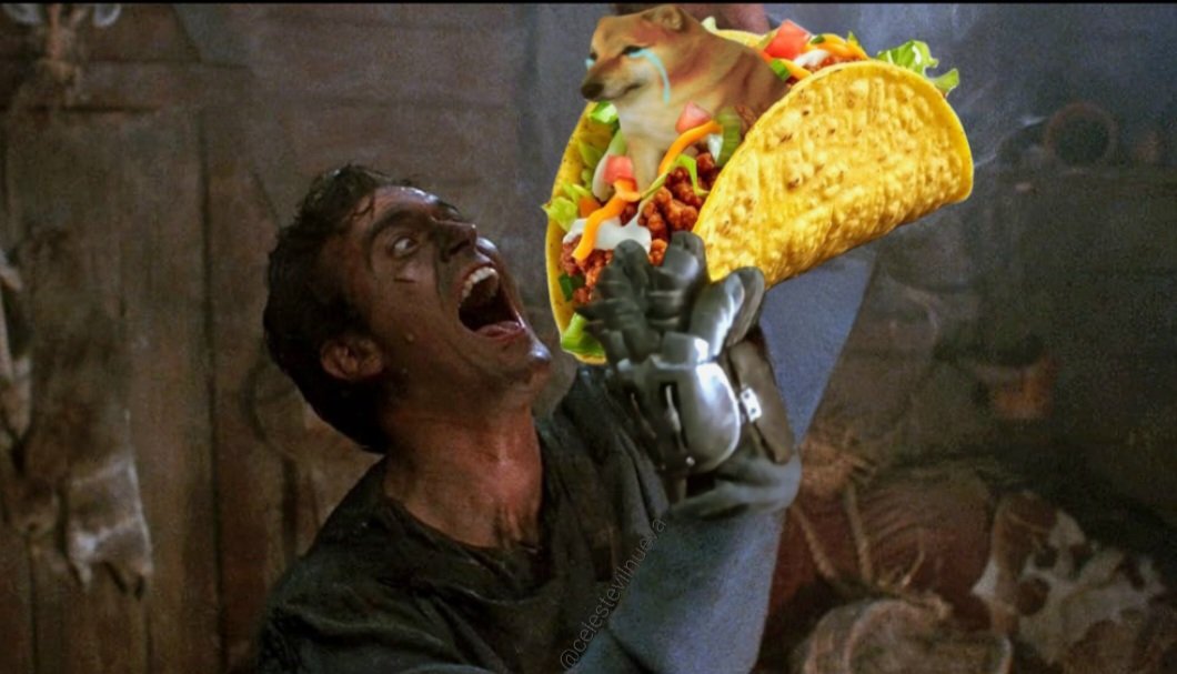 celestevilnueva's tweet photo. Good morning beautiful peeps ☕ hope you're all having an awesome medium-size tiddies taco tipping Tuesday 😀🌮✌️ #dogecoin #amc #hallowmeme https://t.co/VP7peAs8D2