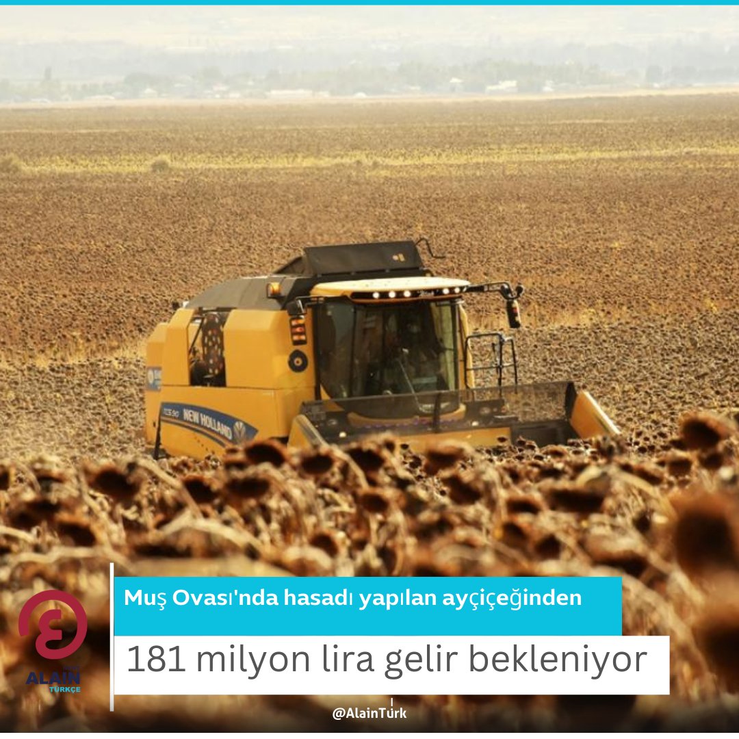 AlainTurk's tweet photo. Muş Ovası'nda hasadı yapılan ayçiçeğinden 181 milyon lira gelir bekleniyor
#Dünyayaaçılangözünüz #viral #ovalar
https://t.co/NmcLqlTtTc https://t.co/QxgGqKXSXZ