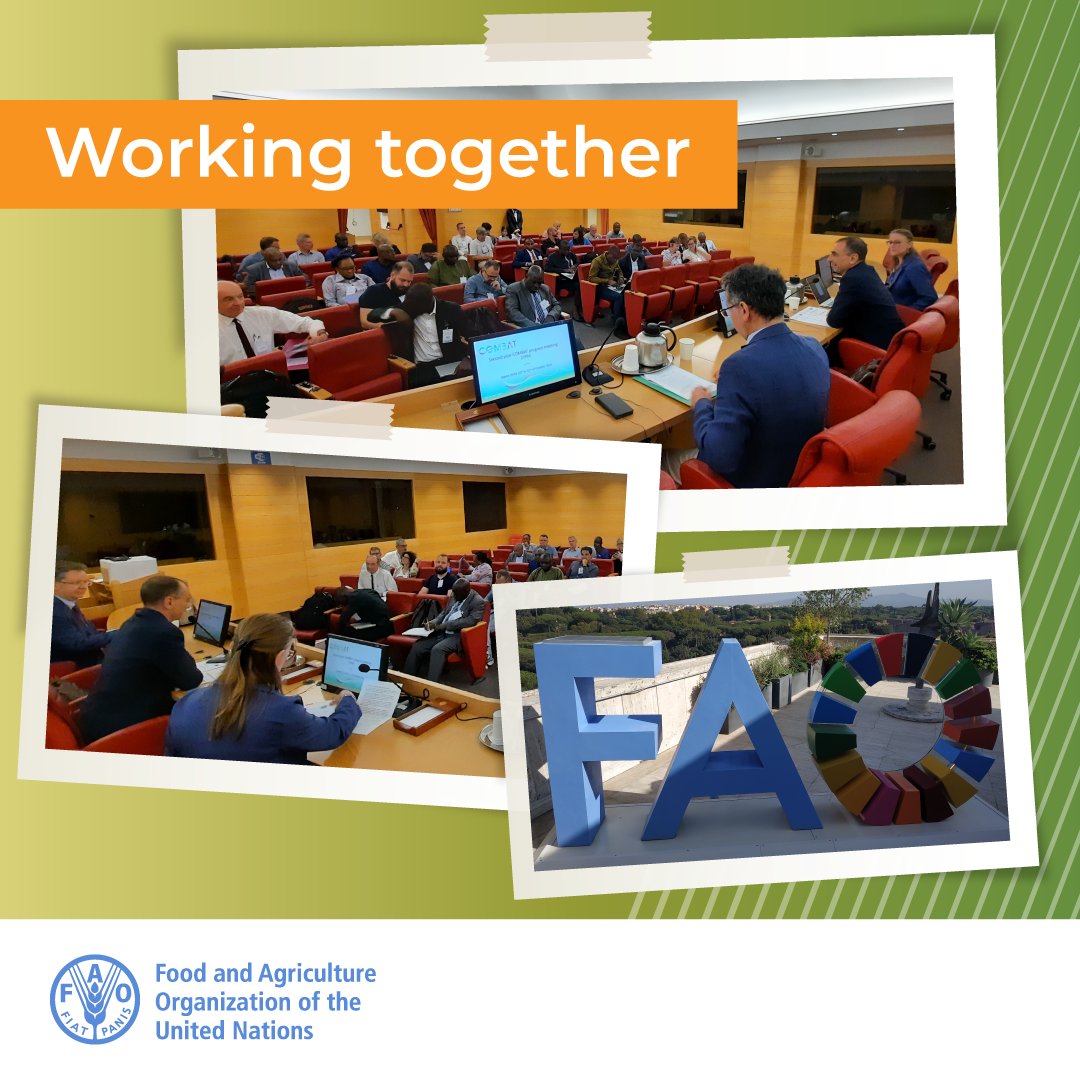 FAOLivestock's tweet photo. .@EU_Commission funded research & innovation for the progressive control of #tsetse flies & animal #trypanosomosis in Africa: the mid-term progress meeting of the #COMBATproject opens today @FAO.
Project COMBAT https://t.co/b36O8mPnjb
FAO & Trypanosomosis https://t.co/ooSxvBiJjh https://t.co/9SmQzmqV5E