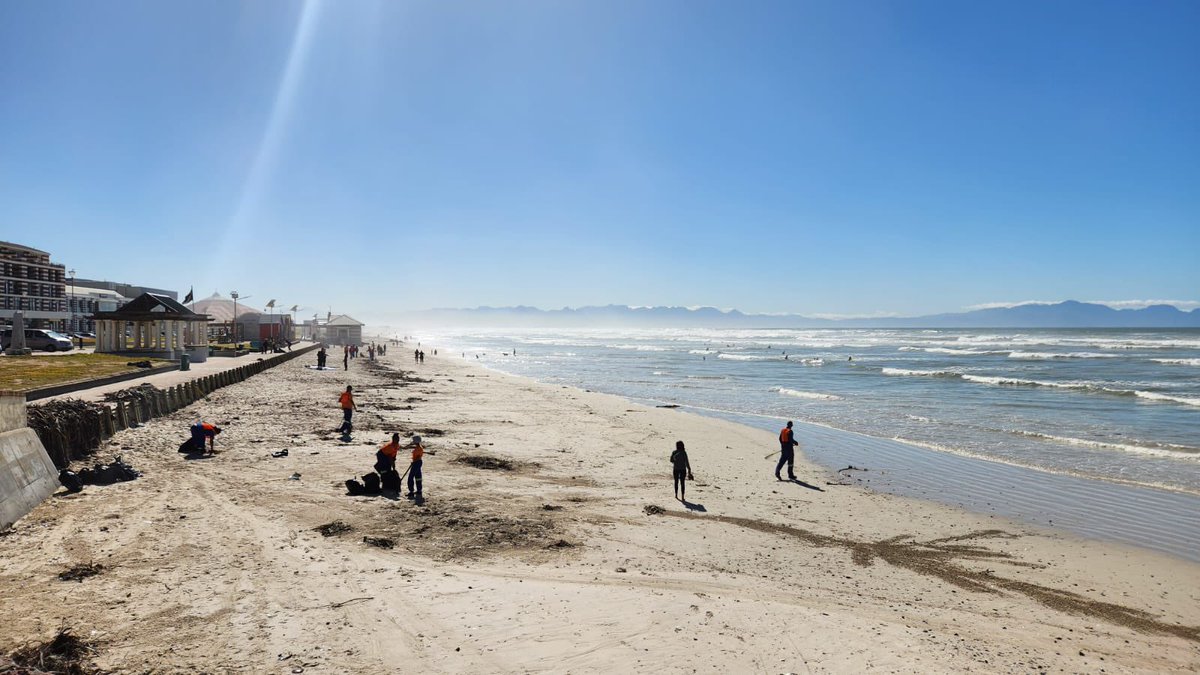 BRETT NEWSKI tweet media