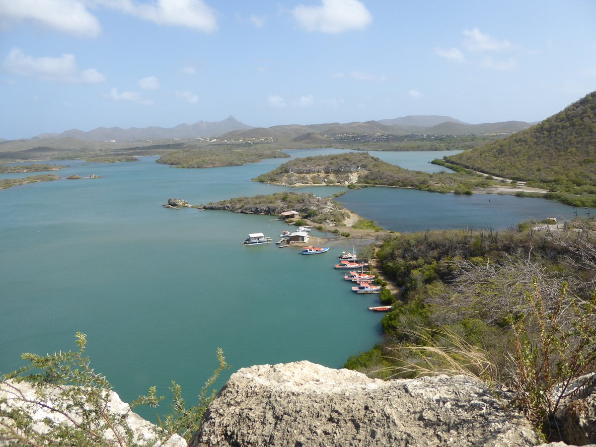 Excited to share this preprint about a new #extreme and marginal #coral environment in the southern Caribbean!

Amazing work by Master students Chiara de Jong, <a href="/irisvanos1/">iris van os</a> and <a href="/guasepulvedar/">Guadalupe Sepulveda</a> - especially given that all fieldwork was done during 2020!!

tinyurl.com/4yxbktzn