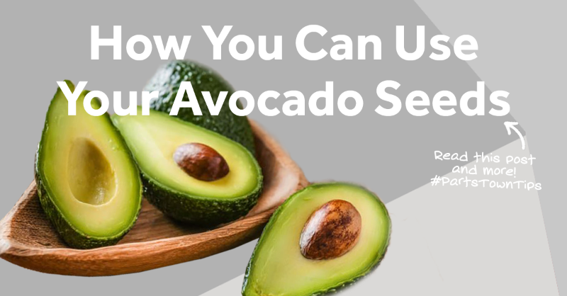 PartsTown's tweet photo. This is your sign to not waste the parts of the avocado you don’t use, like the seeds. Check out some ways to use avocado seeds! #PartsTownTips #AvocadoHack #FoodWaste #Compost