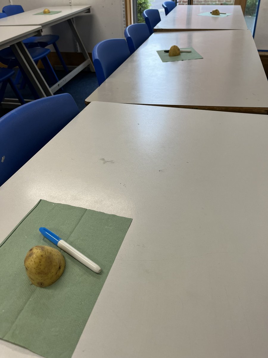 BWSGeography's tweet photo. Year 7 OS map skills continues with contour lines… on potato hills 🥔
#maps #mapskills #potato #contourlines #geography #teacher https://t.co/PR0xqr0NAv
