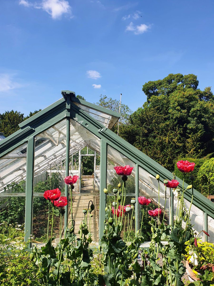 discoversouthk's tweet photo. Have you read our latest blog on the updated Discover South Kesteven website?
https://t.co/HfB7My1EGu
#Blog #DiscoverSK #HelloSK #InstaSpots #LincsConnect @lincsblogger https://t.co/MeWQafbbPG