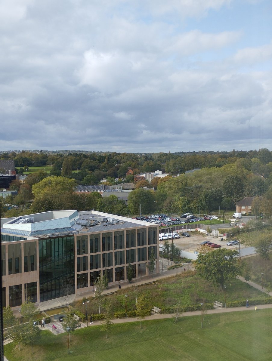 Dr Deborah Hadwin 🧡 tweet media