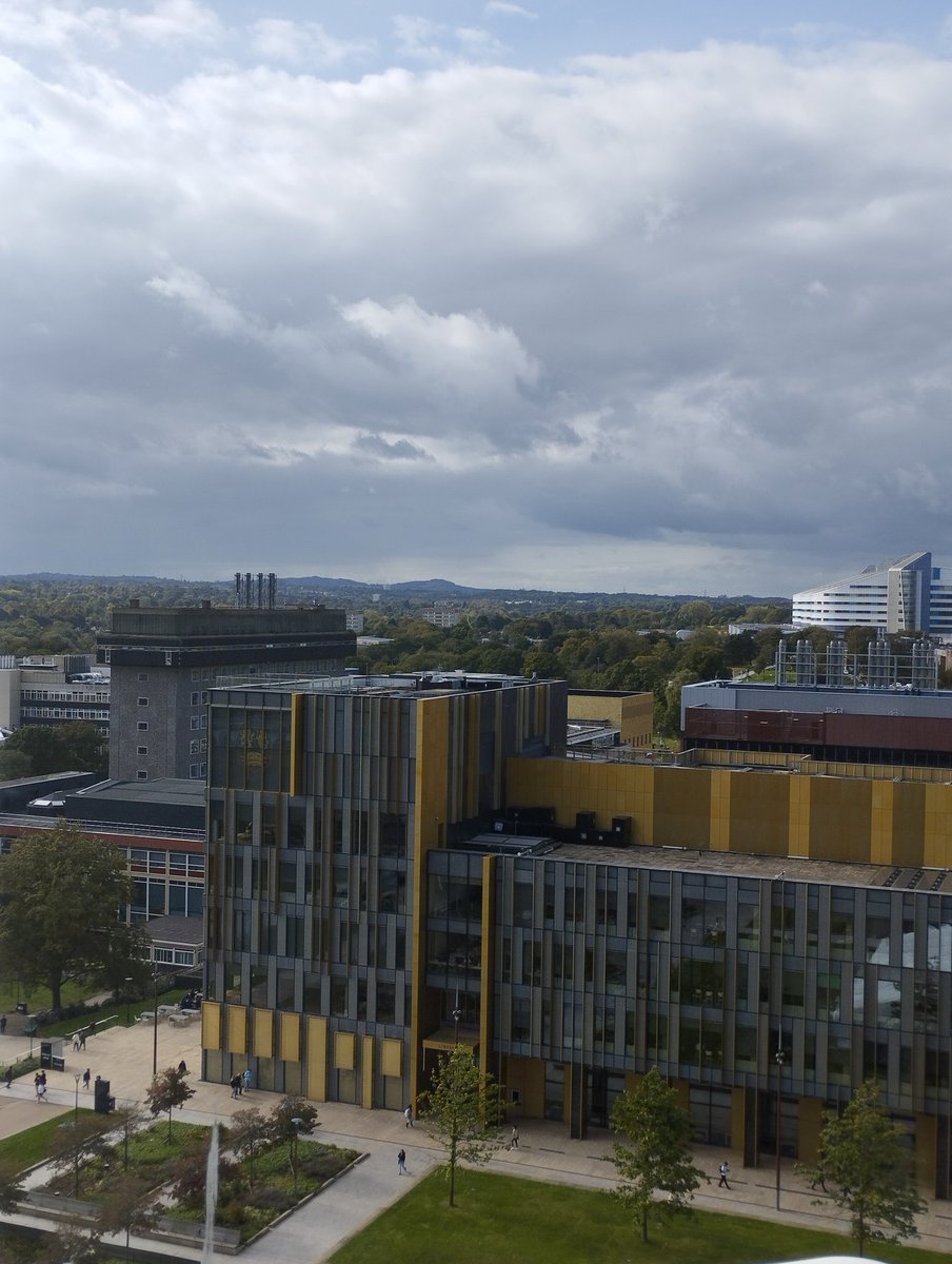 Dr Deborah Hadwin 🧡 tweet media