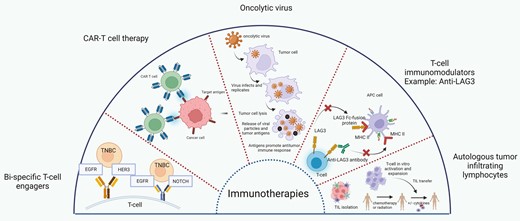 The Oncologist (@oncjournal) on Twitter photo <a href="/prarthnavb/">Prarthna Bhardwaj</a> <a href="/YAbdouMD/">Yara Abdou, MD, MSCR</a> discuss the evolving landscape of ICIs and ADCs in managing early-stage breast cancer and provide an overview of potential future advancement in the field. <a href="/dradityabardia/">Aditya Bardia, MD</a> #bcsm #ADCs #ICI doi.org/10.1093/oncolo… <a href="/prarthnavb/">Prarthna Bhardwaj</a> <a href="/YAbdouMD/">Yara Abdou, MD, MSCR</a> discuss the evolving landscape of ICIs and ADCs in managing early-stage breast cancer and provide an overview of potential future advancement in the field. <a href="/dradityabardia/">Aditya Bardia, MD</a> #bcsm #ADCs #ICI doi.org/10.1093/oncolo…