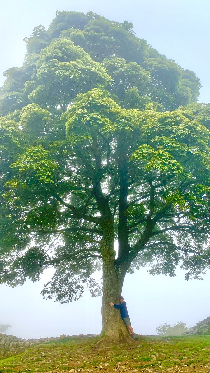 Shane White Photography tweet media