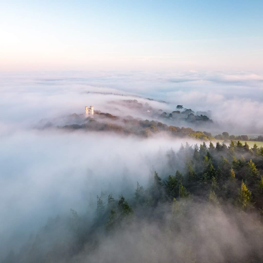 SouthWest660 tweet media