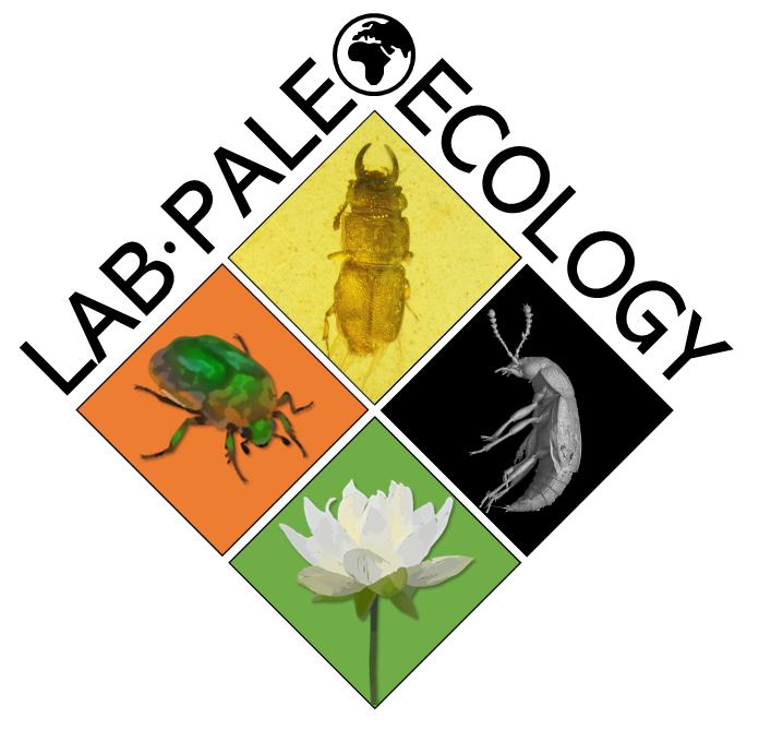 New LOGO for my new group! Excited about the opportunity to create my own research group!  #newchallenges #paleoecology
@IBB_botanic
@AmberiaResearch