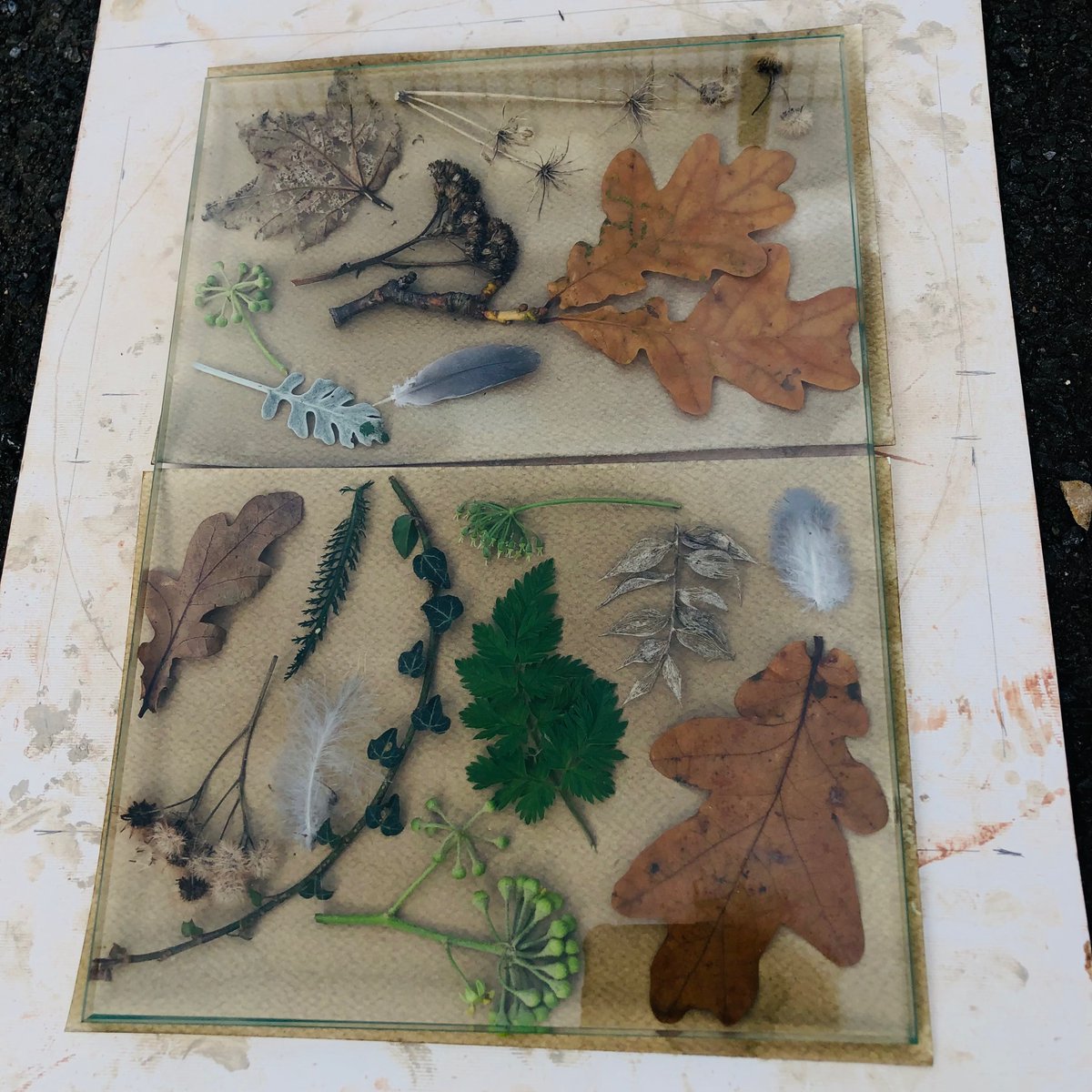 FitzroviaNoir's tweet photo. 3rd stage #plantbasedimaging 12 participants @ntartstudio in workshop by @MeganRingrose made possible by @HeritageFundUK #WMHD exposing oak emulsion in sunlight #improvingWellbeing by #connectingtonature @mentalhealth https://t.co/OZmG1wCpTC