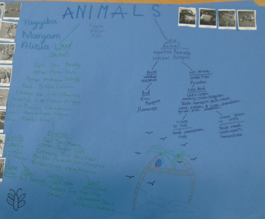 6KA worked in small groups to think like Scientists and group the animals into groups based on their physical appearance and facts. #bgpsScience