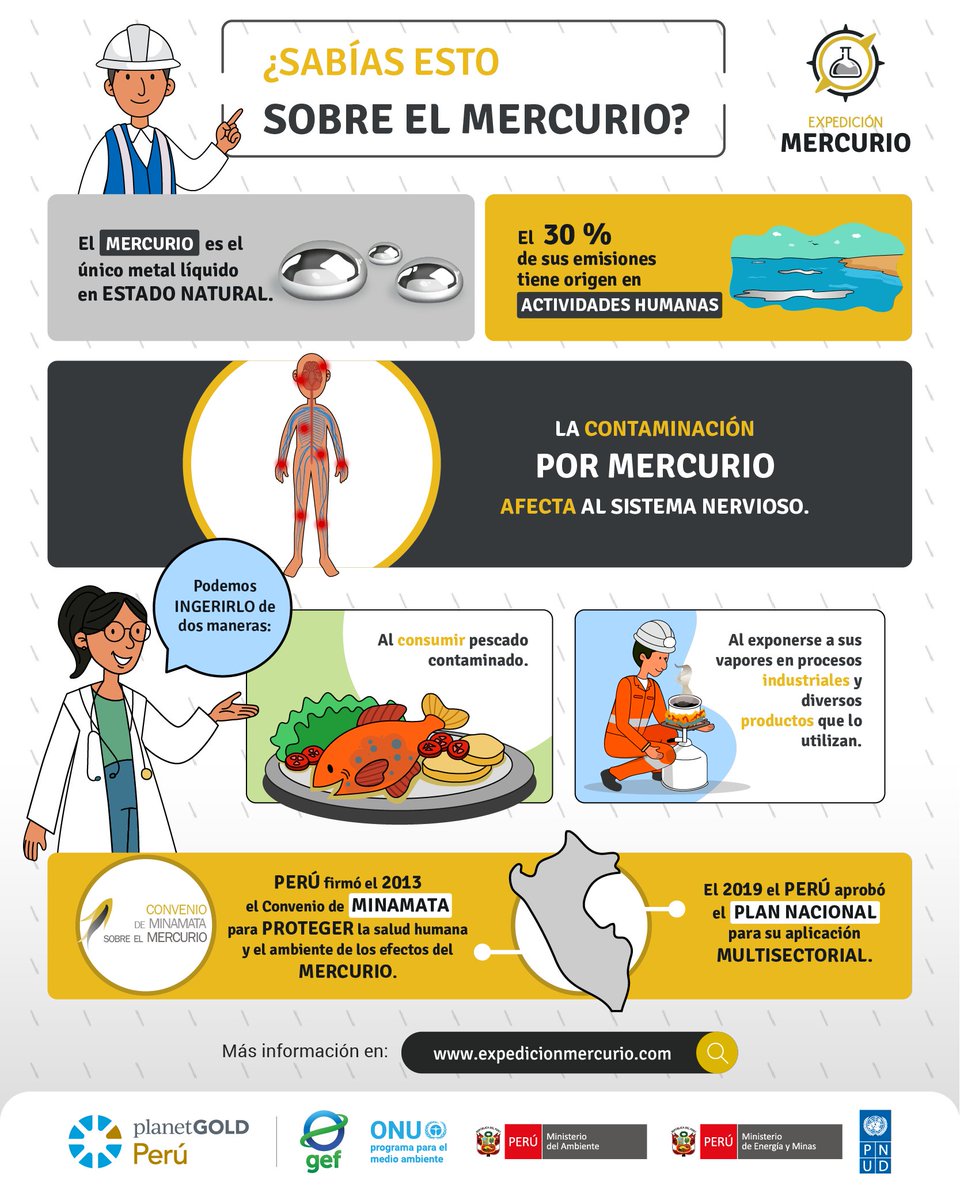 planetGOLD_PE's tweet photo. Hoy se conmemora el Día de Acción contra la Contaminación por Mercurio, una fecha para tomar conciencia y conocer sobre los riesgos generados por el uso inadecuado de esta sustancia. Más información: https://t.co/OoyIMZepB3 
#MakeMercuryHistory https://t.co/uzcagZo97L