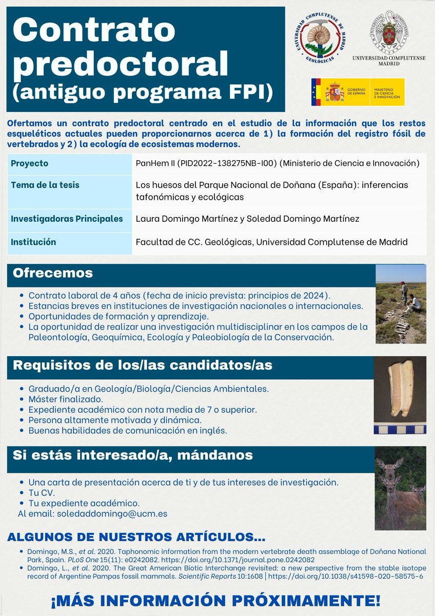🔍 para estudiantes con gran motivación, una oportunidad única de investigación que relaciona el registro fósil y los ecosistemas actuales. 🌳🦌🦴🔬⚛️