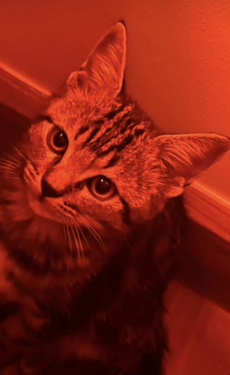 bibbiuprotector's tweet photo. OMG LOOK THE WALL, FLOOR AND WALL BORDERS AND LIGHTING ARE SAME!!!!!!!! https://t.co/Td3mE6sdkN