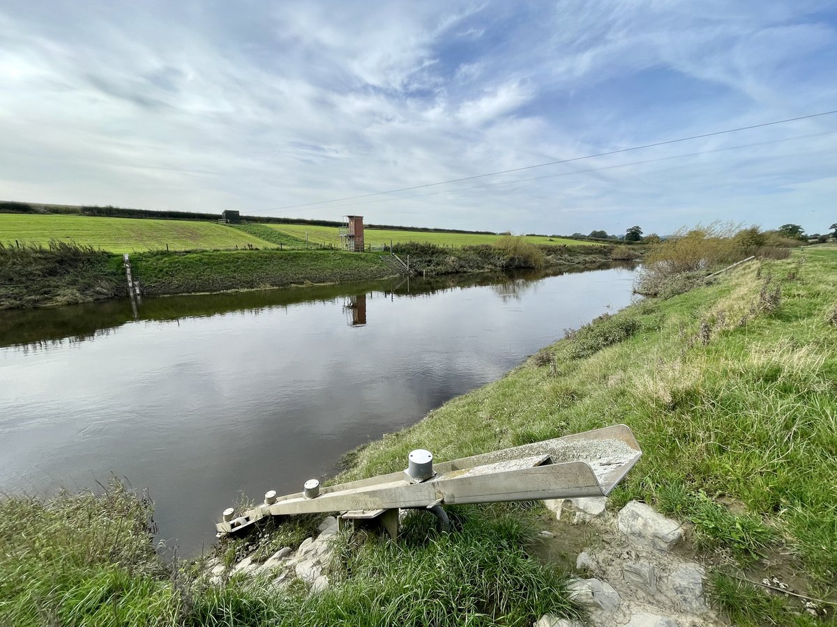 Rob Davies tweet media