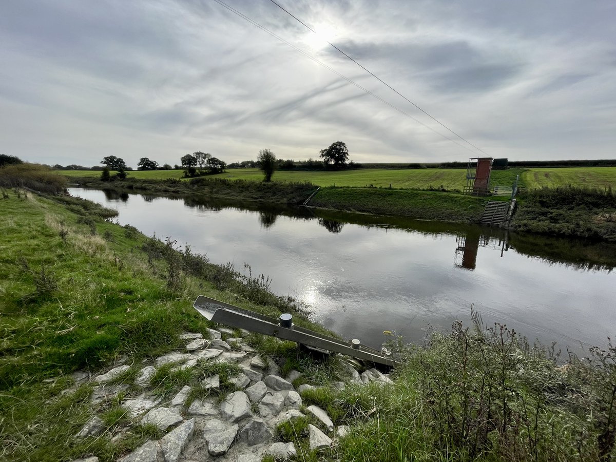 Rob Davies tweet media