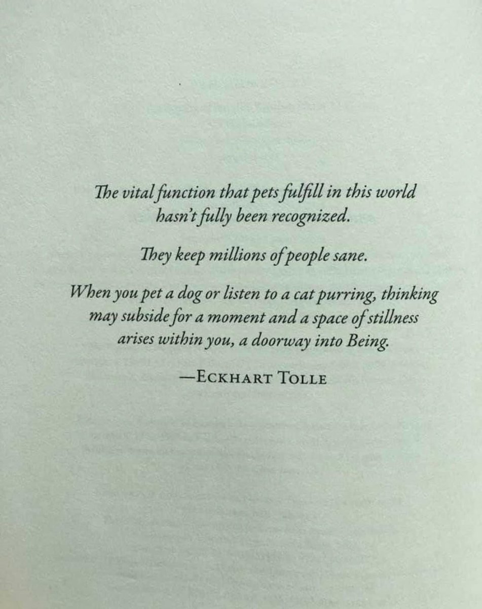 clpronline's tweet photo. We love this Eckhart Tolle quote about the power of our pets. https://t.co/h6LbzK3hTf