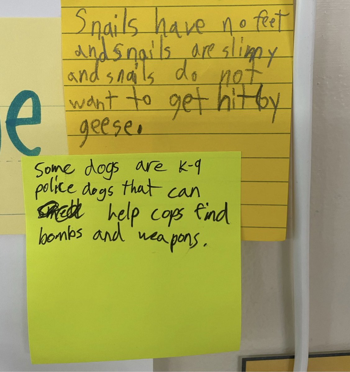 GR3 applied their knowledge of plural nouns and composed their own sentence(s). #transfer of #learning #patternsofpower @writeguyjeff