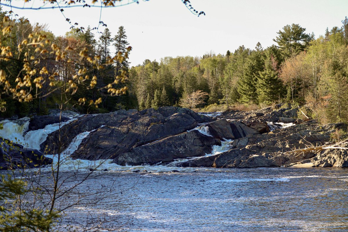 Today we close our gates for the 2023 Season! Thank you to our visitors who explored the park. A big thank you goes out to our staff who worked hard to ensure our visitors had a safe and enjoyable experience. 

See you next year ! #chutesprovpark #ontarioparksne #ontarioparks