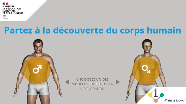 Enseigner dans le 1er degré avec le numérique tweet media