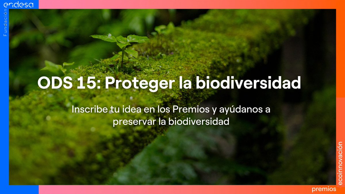 La biodiversidad nos necesita. Juntos podemos protegerla.

¡Presenta tu proyecto a los #Premiosecoinnovación de la @Fundacionendesa y ayúdanos!
bit.ly/3ETDrad

#JuntosPorLaBiodiversidad