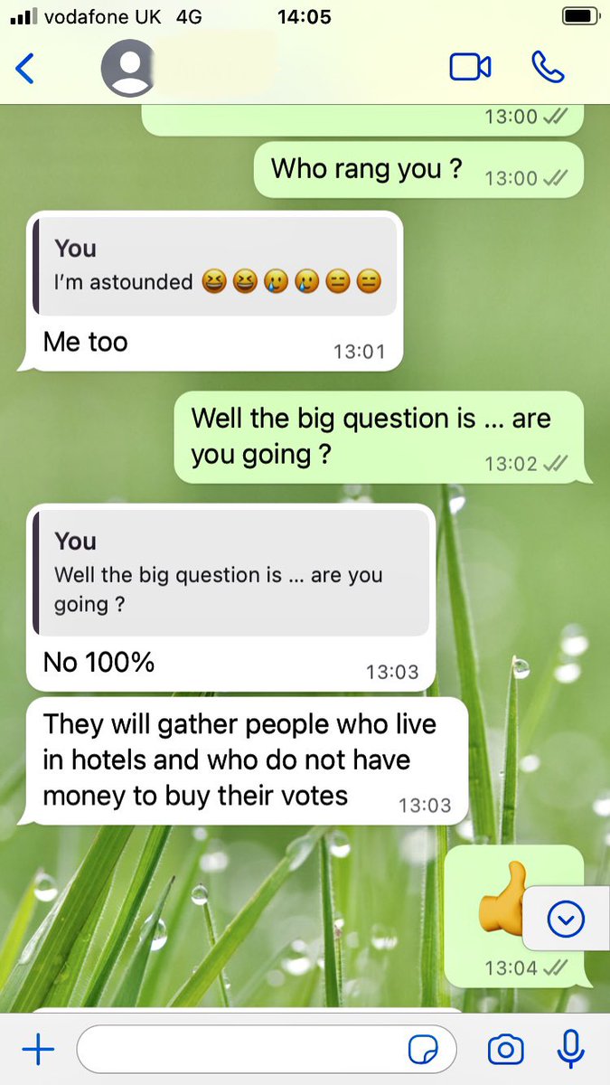 Matilda Velevitch tweet media