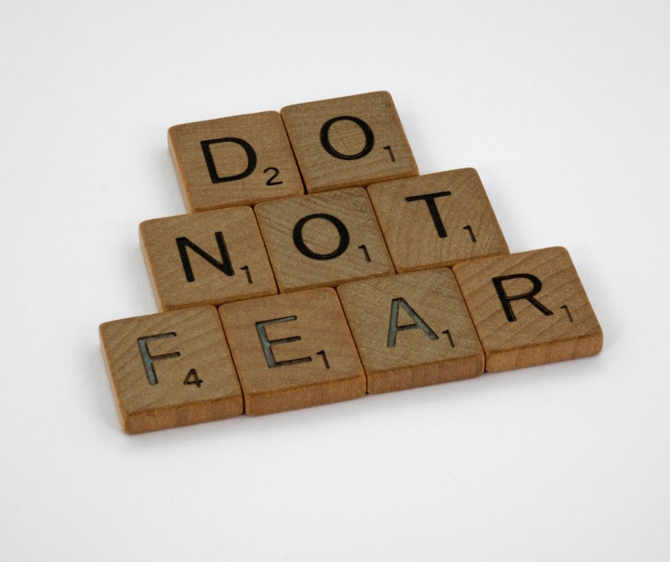 National Have No Fear Day : "Have no fear of perfection--you'll never reach it."
--Salvador Dali