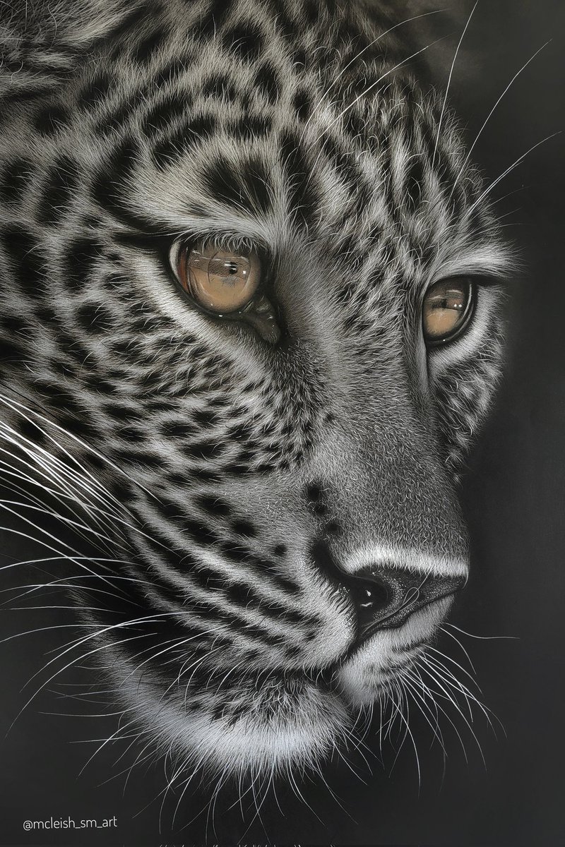 mcleish_sm_art tweet media