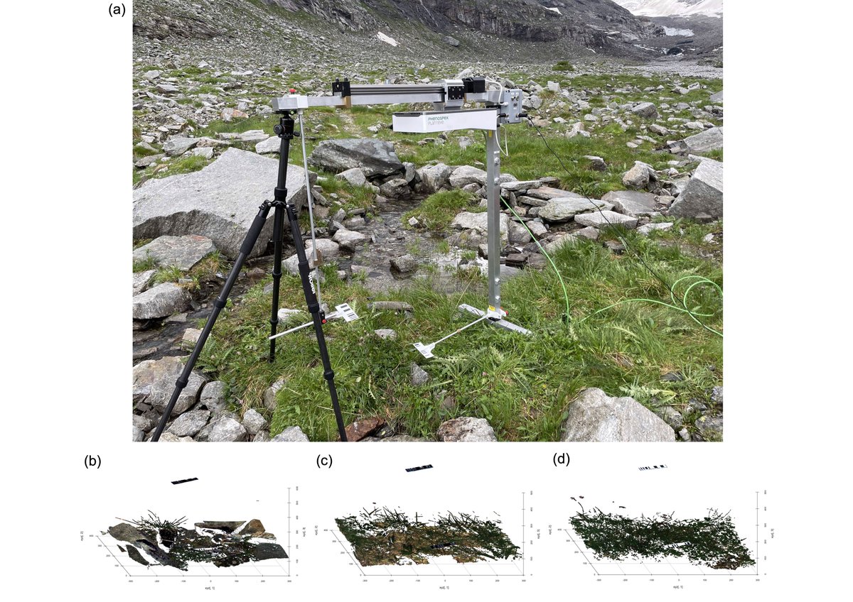Robert R. Junker (@rr_junker) on Twitter photo 3D scans of plant communities reveal a shift from acquisitive to conservative plant strategies as well as an increasing dominance of environmental filtering along a successional gradient #Ödenwinkel. @PLUS_1622 <a href="/Uni_MR/">Philipps-Universität</a> <a href="/Bio_UMR/">Biology Uni Marburg</a> <a href="/Phenospex/">PHENOSPEX</a> <a href="/Oikos_Journal/">Oikos</a> onlinelibrary.wiley.com/doi/full/10.11… 3D scans of plant communities reveal a shift from acquisitive to conservative plant strategies as well as an increasing dominance of environmental filtering along a successional gradient #Ödenwinkel. @PLUS_1622 <a href="/Uni_MR/">Philipps-Universität</a> <a href="/Bio_UMR/">Biology Uni Marburg</a> <a href="/Phenospex/">PHENOSPEX</a> <a href="/Oikos_Journal/">Oikos</a> onlinelibrary.wiley.com/doi/full/10.11…